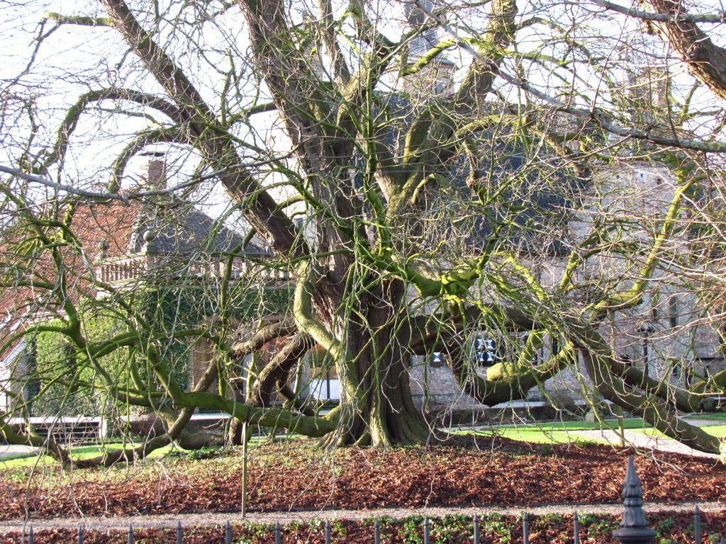 Het Schoolhuis Bed & Breakfast Ferwerd Exterior photo